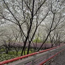 宁波旅游 缩略图 2