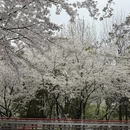 宁波旅游 缩略图 3