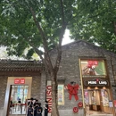 佛山旅游 缩略图 5