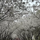 宁波旅游 缩略图 7