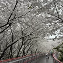 宁波旅游 缩略图 14