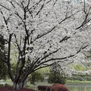 宁波旅游 缩略图 13