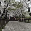 宁波旅游 缩略图 15