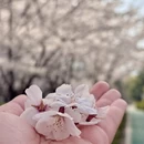 青岛旅游 缩略图 5