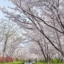 青岛旅游 缩略图 1