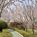 青岛旅游 缩略图 8
