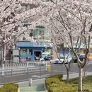 青岛旅游 缩略图 9