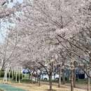 青岛旅游 缩略图 10