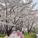 青岛旅游 缩略图 7