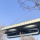 武汉旅游 缩略图 5