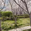 青岛旅游 缩略图 11