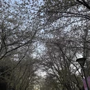 北京旅游 缩略图 6