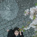 上海旅游 缩略图 2