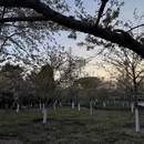 北京旅游 缩略图 8