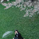 上海旅游 缩略图 1