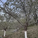 北京旅游 缩略图 7