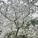 北京旅游 缩略图 8