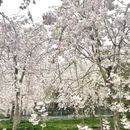 北京旅游 缩略图 3