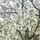 北京旅游 缩略图 10