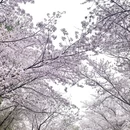 北京旅游 缩略图 5