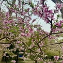 北京旅游 缩略图 7