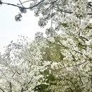 北京旅游 缩略图 9