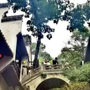 黄山旅游 缩略图 6