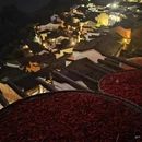 黄山旅游 缩略图 12
