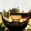 黄山旅游 缩略图 15
