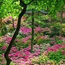 桂林旅游 缩略图 1