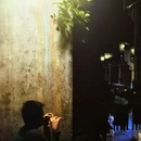 黄山旅游 缩略图 18