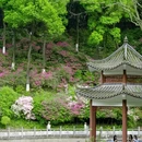 桂林旅游 缩略图 8