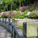 桂林旅游 缩略图 9
