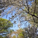 北京旅游 缩略图 1