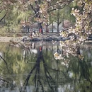 北京旅游 缩略图 3