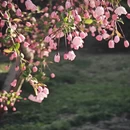 北京旅游 缩略图 4
