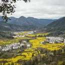 黄山旅游 缩略图 5