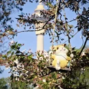 北京旅游 缩略图 8