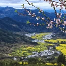 黄山旅游 缩略图 8