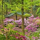 桂林旅游 缩略图 5