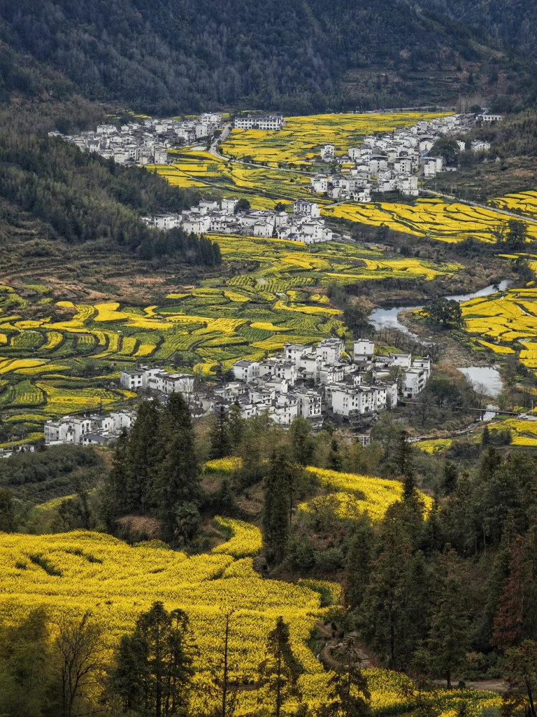 黄山旅游