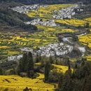 黄山旅游 缩略图 1
