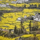 黄山旅游 缩略图 7