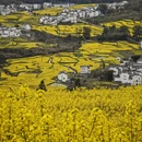 黄山旅游 缩略图 6