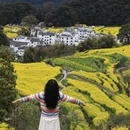 黄山旅游 缩略图 15