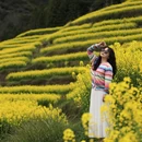 黄山旅游 缩略图 14