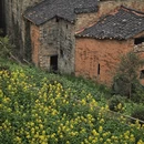 黄山旅游 缩略图 12
