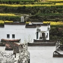 黄山旅游 缩略图 11