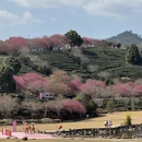 龙岩旅游 缩略图 3