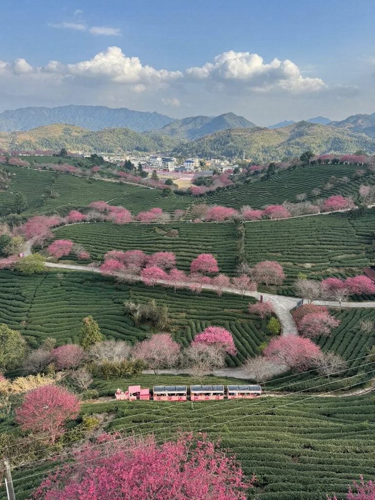 龙岩旅游